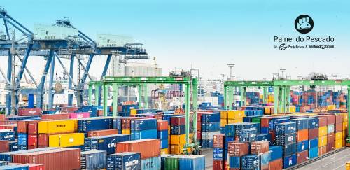 Exportações do pescado para países da África crescem 114% em 2023