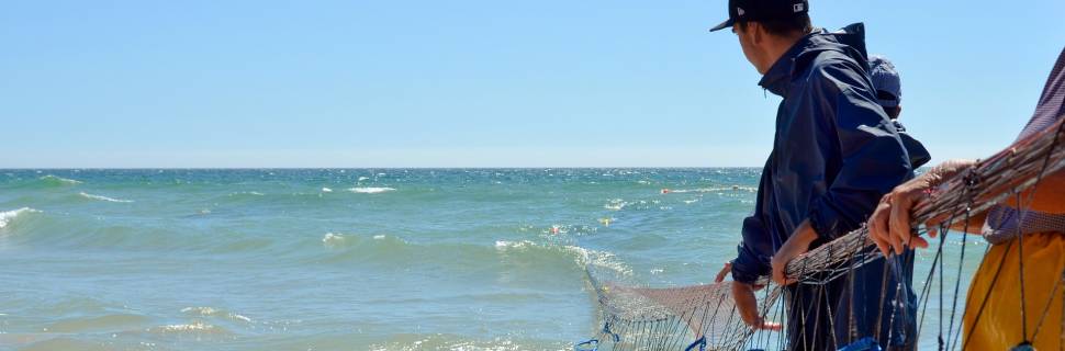 Com base em SisRGP, Boletim Prohort traça perfil do pescador no Brasil