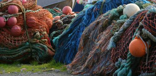 Brasil abre dados de rastreamento de embarcações pesqueiras