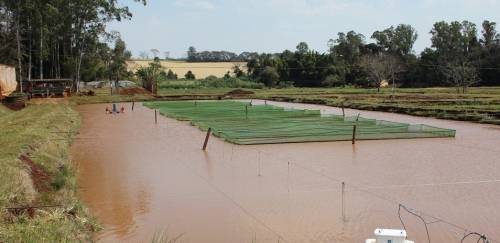 Produção Global da aquicultura deverá registrar queda depois de anos