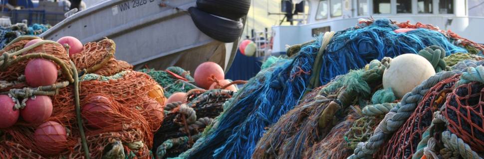 SAP/Mapa divulga calendário de CPGs 