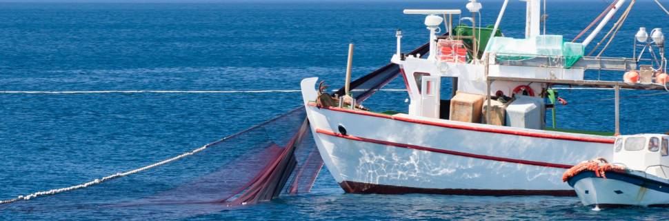 >Conheça os finalistas do Global Fisheries Innovation Award 2022 Conheça os finalistas do Global Fisheries Innovation Award 2022