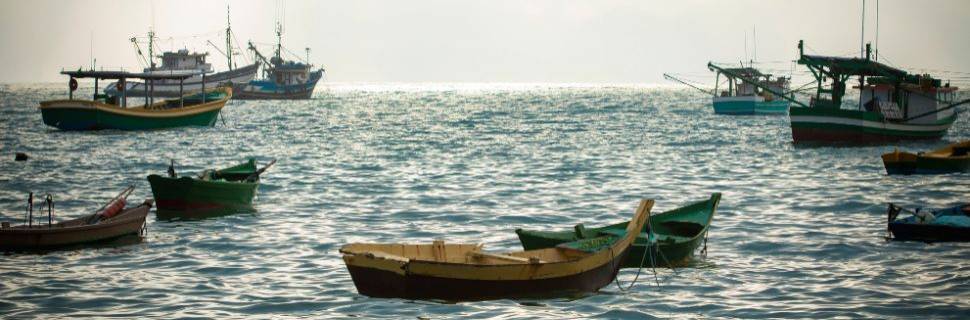 >O papel da pesca em SC como pilar econômico e cultural no Brasil O papel da pesca em SC como pilar econômico e cultural no Brasil