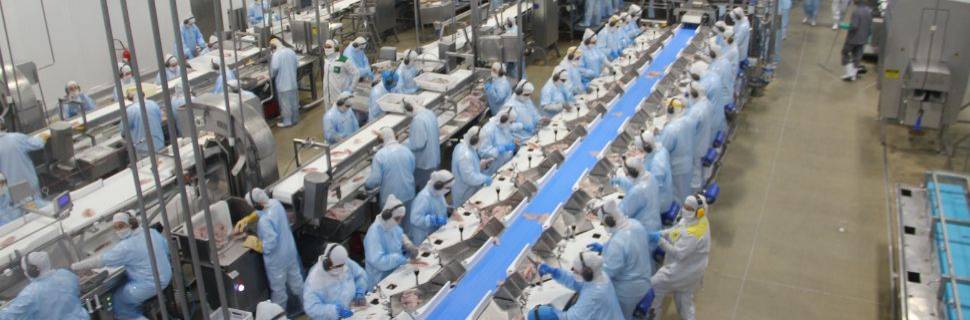 >C. Vale amplia seu processamento e bate recorde de produção de tilápia C. Vale amplia seu processamento e bate recorde de produção de tilápia