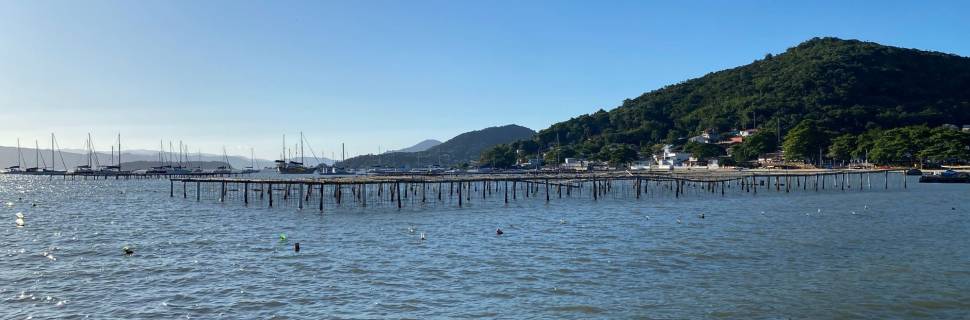 Agência italiana realiza webinar sobre pesca e maricultura no Brasil