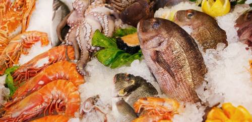 Apex-Brasil abre inscrições para rodada de exportação de pescado