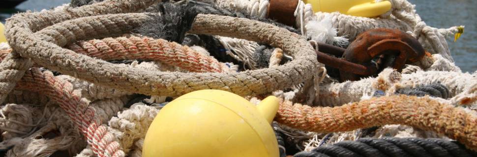 Sindipi tenta alteração de PL que proíbe pesca de arrasto 