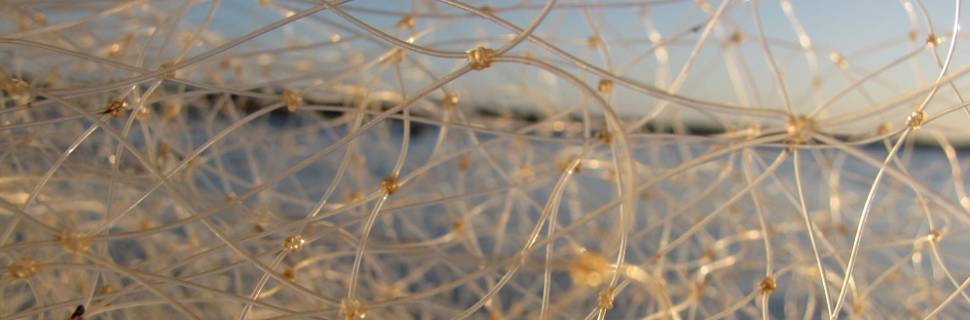 Nota conjunta do Sindipi e Sitrapesca critica burocracia do setor