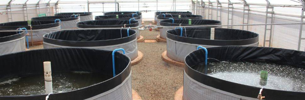 MME prorroga consulta de desconto tarifário à irrigação e aquicultura