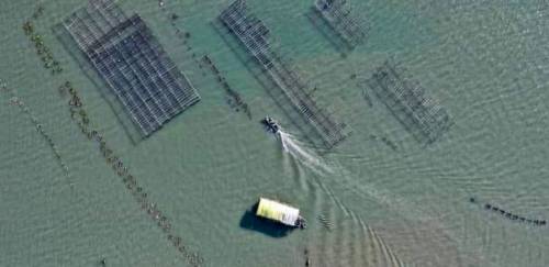 Senar/SC inicia assistência técnica e gerencial para maricultura