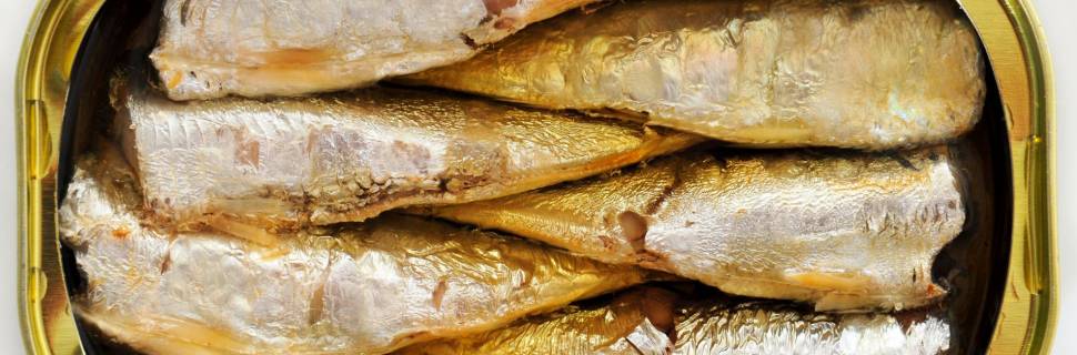 Marrocos proíbe exportação de sardinha e medida pede atenção do Brasil