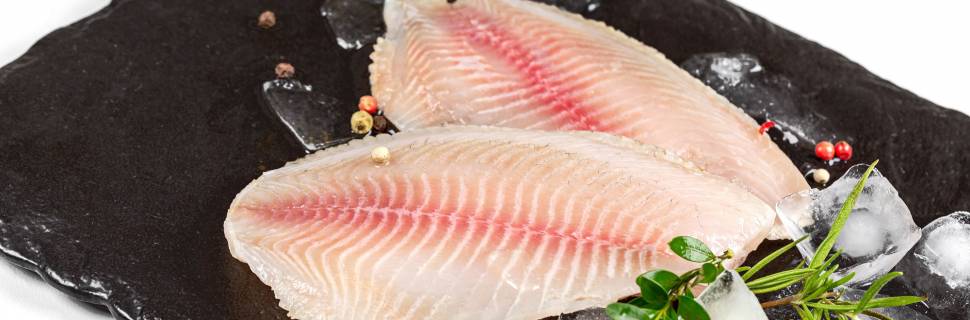 Exportações da piscicultura saltam 2% no 1º tri, diz Embrapa