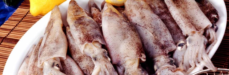 Mapa publica portaria que aprova RTIQ de cefalópodes