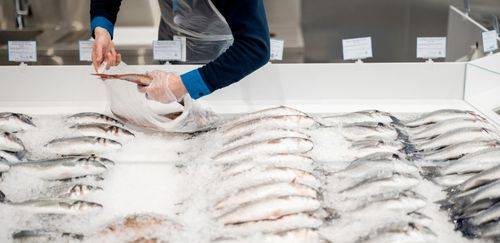 Fraude por troca de espécies: problema global com consequências sérias