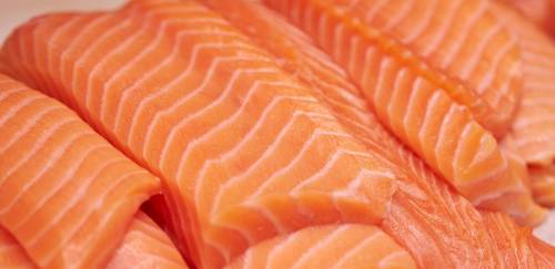 Importações de salmões e trutas pelo Brasil permanecem em alta Importações de salmões e trutas pelo Brasil permanecem em alta