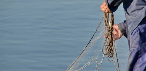 Novo app do IP-APTA facilita trabalho de monitoramento pesqueiro em SP