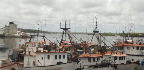 “Projeto Parceiros” em busca da sustentabilidade na pesca de atum “Projeto Parceiros” em busca da sustentabilidade na pesca de atum