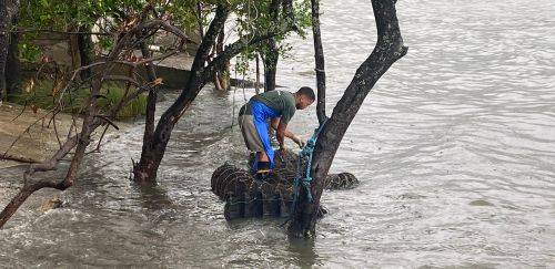 SC libera financiamento a maricultores atingidos pela “Maré Vermelha”