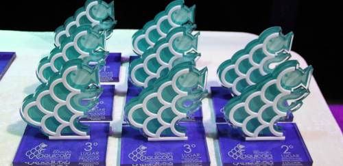 Abertas as inscrições para o II Prêmio Inovação Aquícola 2020