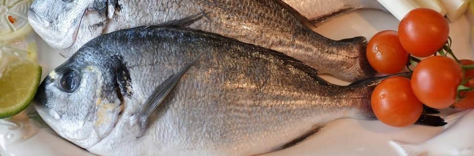 Expo de pescado caem 18% e impo sobem 5% no 1º bi do ano