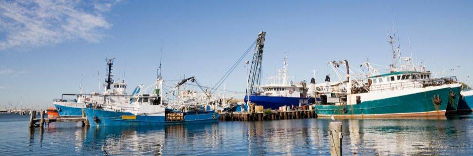 MPA amplia transparência com novas bases de dados sobre certificações