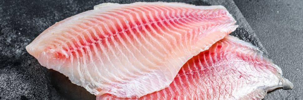 Cooperativa Lar inicia operação de unidade de tilápias no Paraná