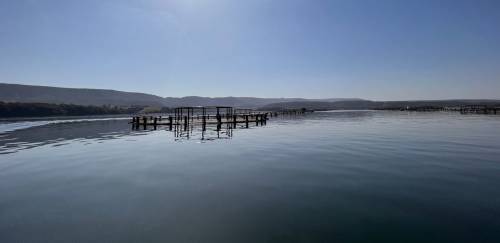 Nova certificação deve impulsionar exportações da Fider Pescado 