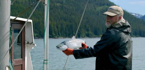 Alasca: o caminho compartilhado entre pesquisa e captura