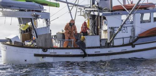 Alaska Seafood confirma participação na Seafood Show Latin America