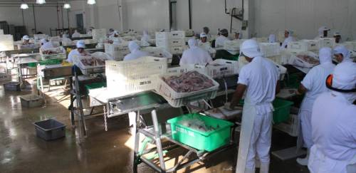 Ambiente regulatório: o grande desafio da indústria de processamento