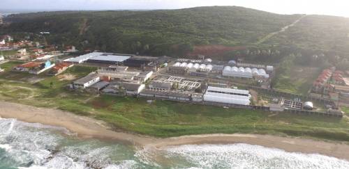 Aquatec: há 30 anos nascia o maior laboratório de pós-larvas do Brasil Aquatec: há 30 anos nascia o maior laboratório de pós-larvas do Brasil