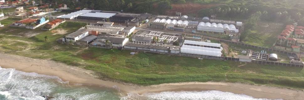 Aquatec: há 30 anos nascia o maior laboratório de pós-larvas do Brasil