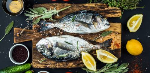 Aquicultura 4.0: tecnologia pode ajudar no aumento de consumo