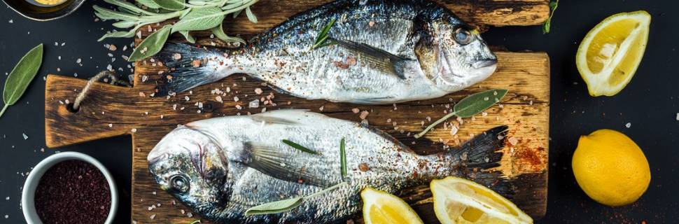 >Aquicultura 4.0: tecnologia pode ajudar no aumento de consumo Aquicultura 4.0: tecnologia pode ajudar no aumento de consumo