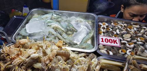 Aquicultura na Ásia em foco: Vietnã Aquicultura na Ásia em foco: Vietnã