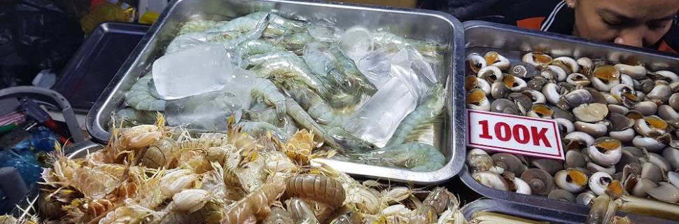 Aquicultura na Ásia em foco: Vietnã  