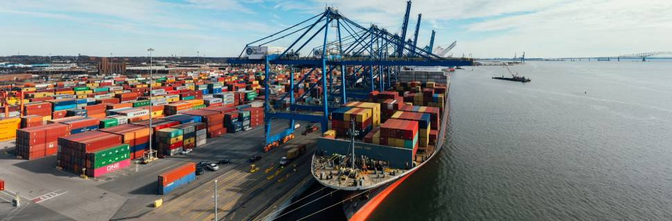 Tarifas globais dos EUA podem abrir espaço para pescado brasileiro