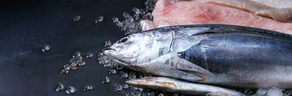 >Tecnologia aliada na rastreabilidade dos estoques e sustentabilidade Tecnologia aliada na rastreabilidade dos estoques e sustentabilidade