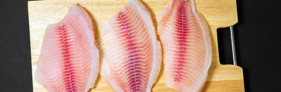 Tilápia brasileira tem novas oportunidades nos mercados internacionais