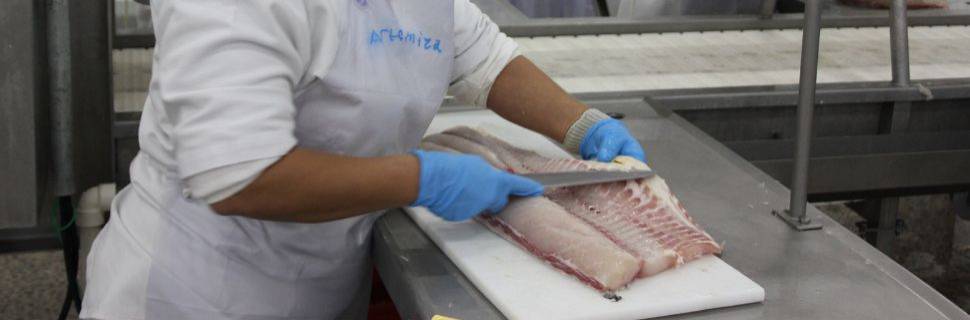 >Resiliência e otimismo: as palavras de ordem em 2025 Resiliência e otimismo: as palavras de ordem em 2025