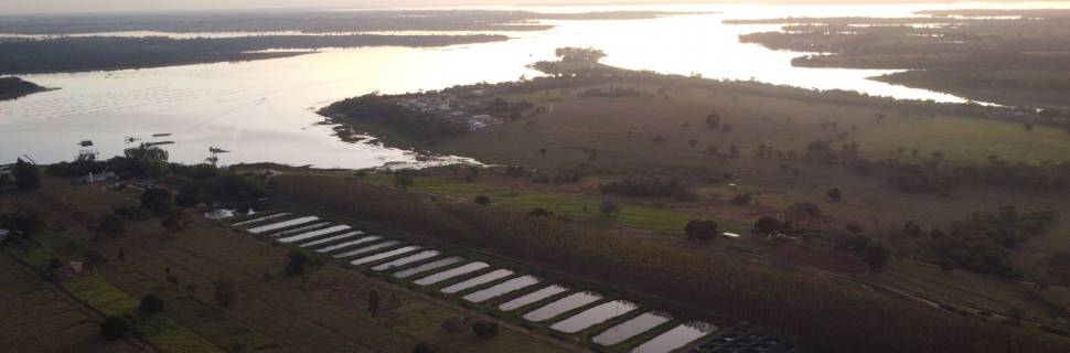 O caminho do revés: como o pedido de RJ da GeneSeas mexeu com o setor