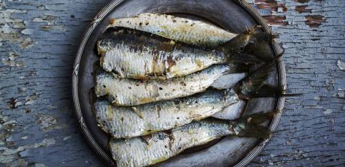 Sardinha-verdadeira e caranguejo-uçá em defeso: prazos e declaração