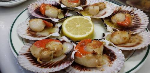 O Slow Food e sua relação com o pescado O Slow Food e sua relação com o pescado