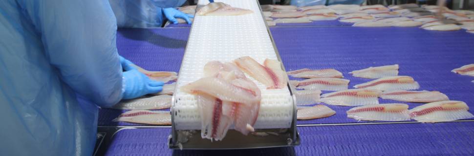 Trump assina tarifaço e pescado fica fora da lista de exceções