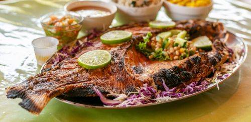 Sepea faz retrato do consumo de pescado no Sul e Sudeste do Tocantins