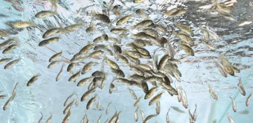 Grupo que controla Aquabel adquire AquaAmérica e AquaPorto