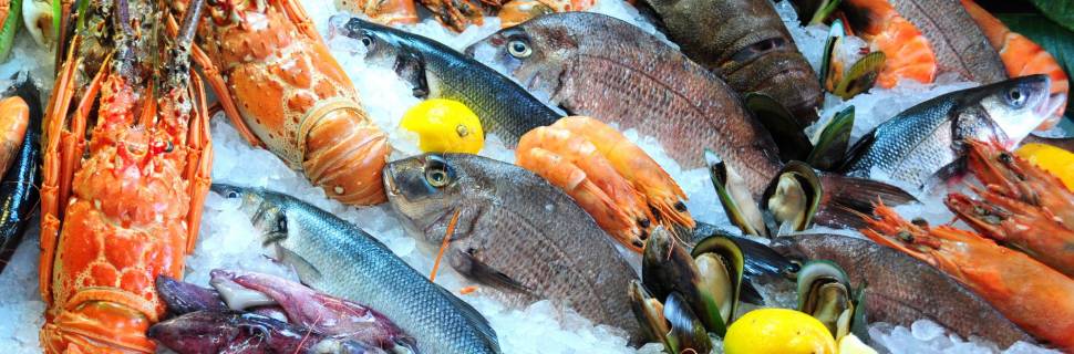 Por que não somos uma potência mundial na pesca e na aquicultura?