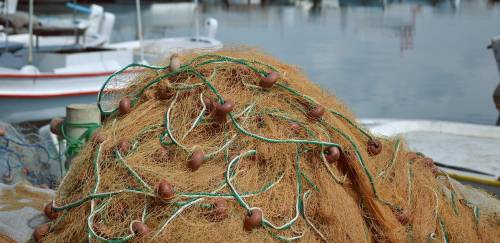 Novo sistema de recadastramento de pescadores será lançado amanhã (29)