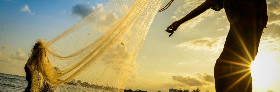 MPA divulga lista de municípios para períodos de defeso