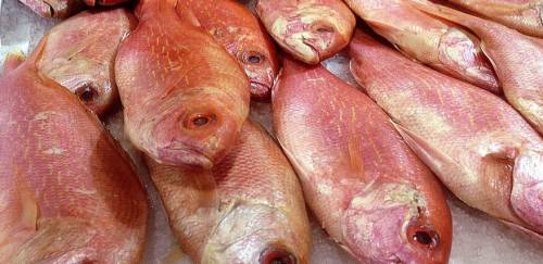 Balança comercial: importações e exportações Jan/Jul 